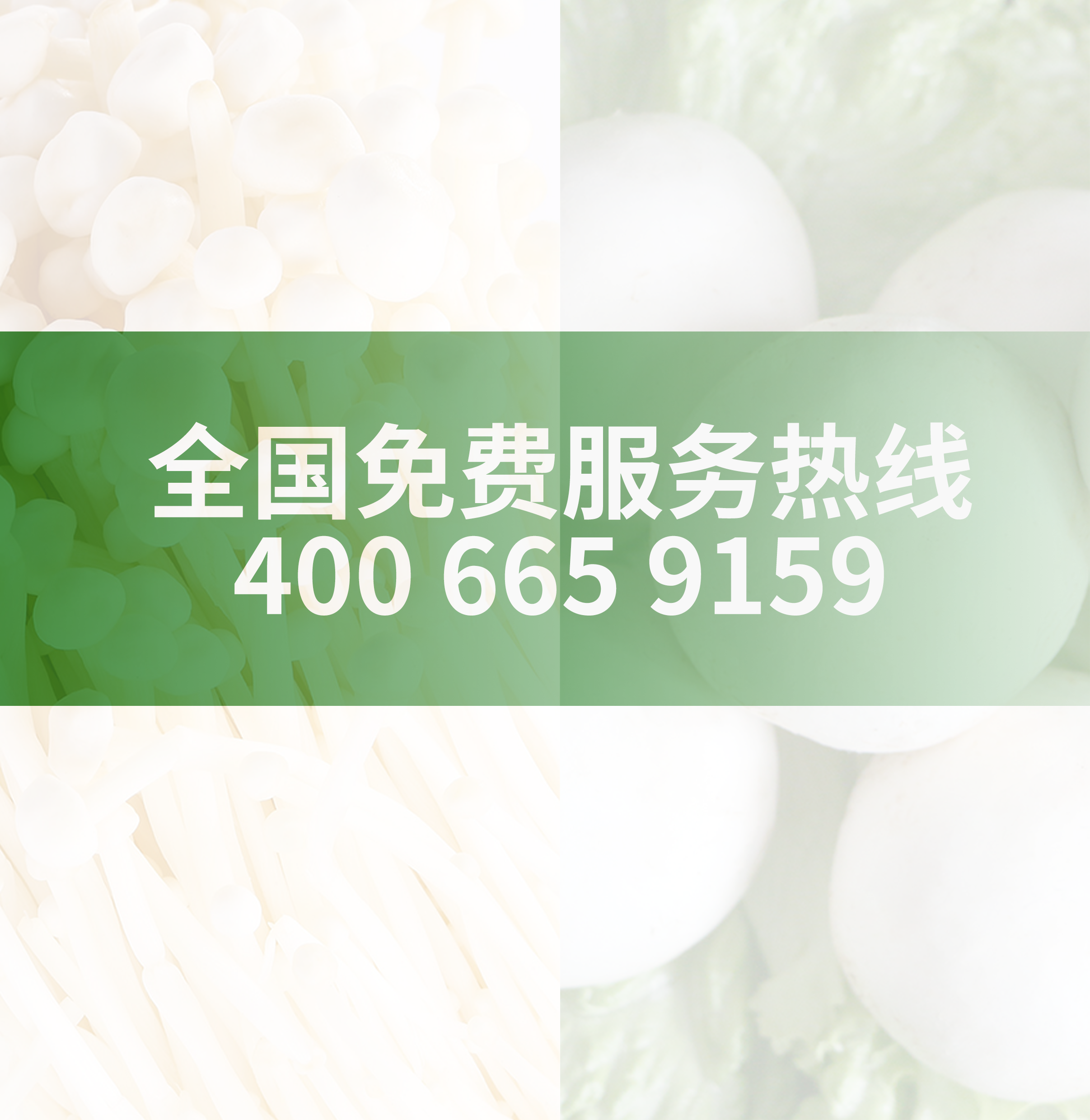 销售电话.png
